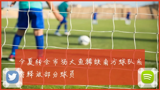 今夏转会市场大鱼稀缺南方球队或将释放部分球员
