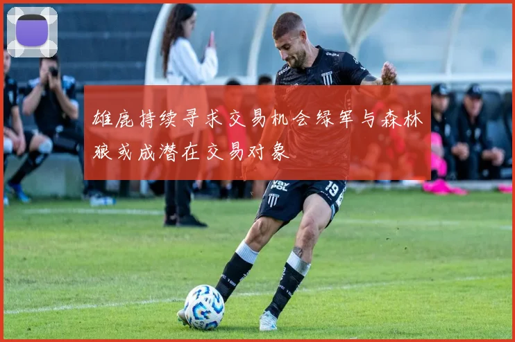 雄鹿持续寻求交易机会绿军与森林狼或成潜在交易对象