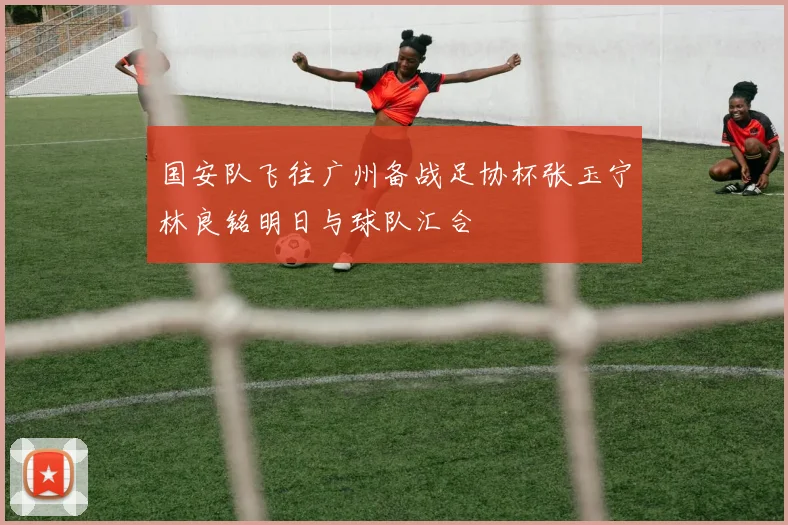 国安队飞往广州备战足协杯张玉宁林良铭明日与球队汇合