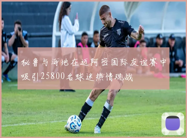 秘鲁与海地在迈阿密国际友谊赛中吸引25800名球迷热情观战
